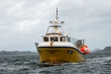 cara zoe ob1 whyw25 tues 800_7207